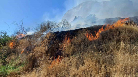 Aytepe mesire alanında yangın